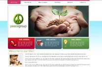 N.G.O Site