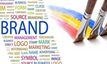 Branding & Print Design